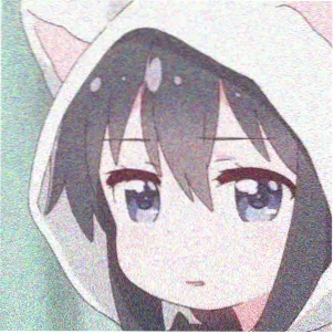 听友岑野头像